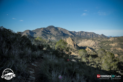 ox8a9207-acariciando-la-luz_55085094560_o