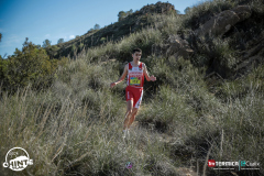 ox8a9364-acariciando-la-luz_55084982834_o